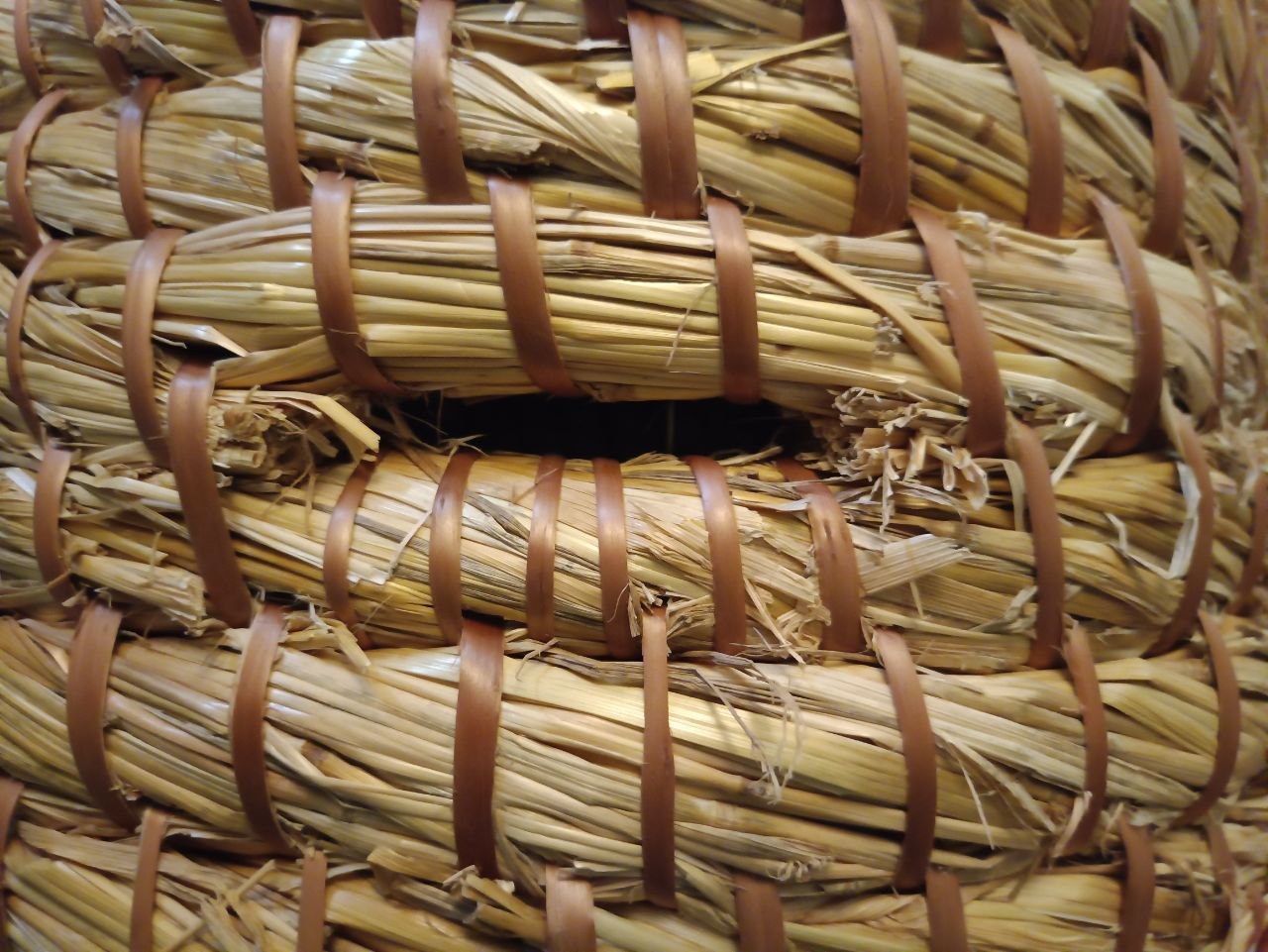 Простакутны ляток. Эстэтычней.