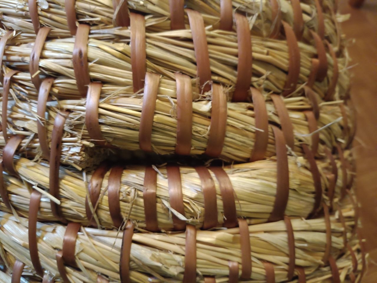 Бачна трохкутны ляток. Пчолам ён таксама падабаецца =)