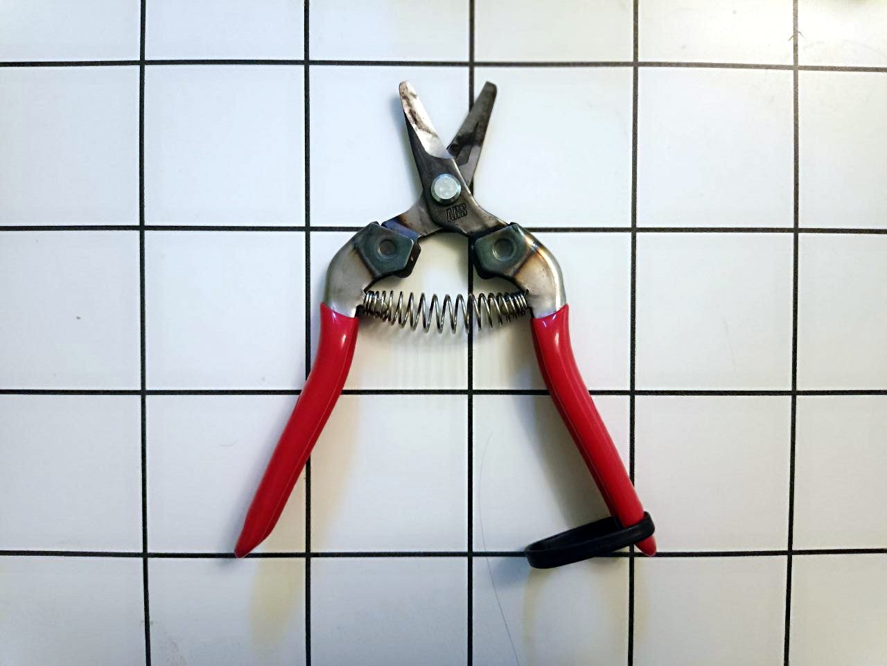 Японскі секатар. Якімкарыстаюся апошнім часам